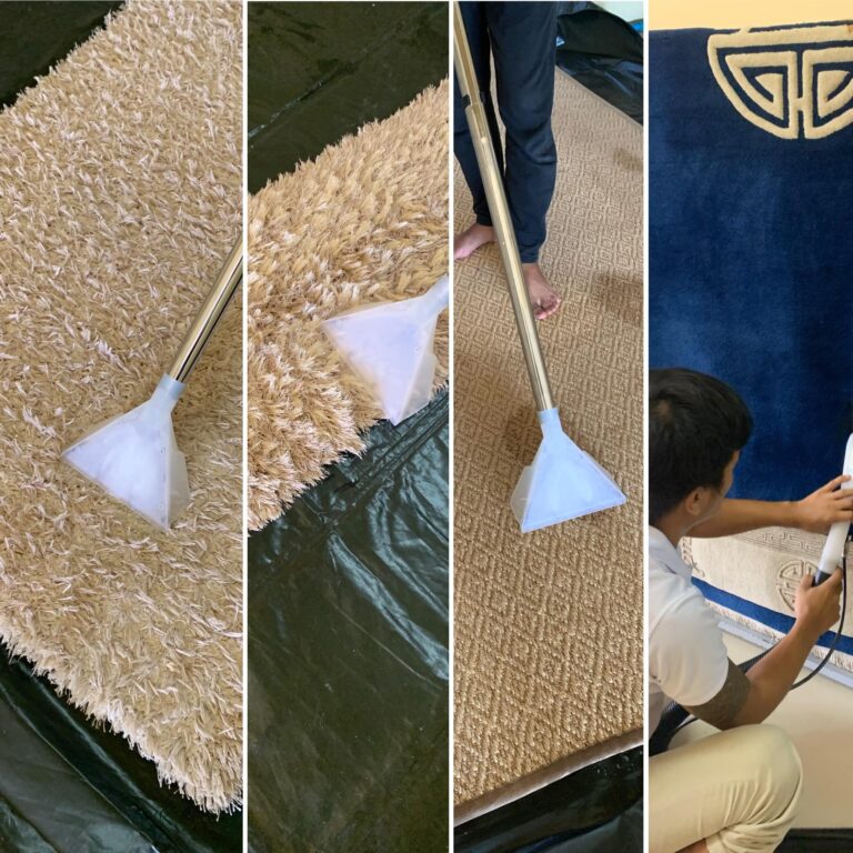 The Ultimate Guide to Carpet and Rug Water Extraction