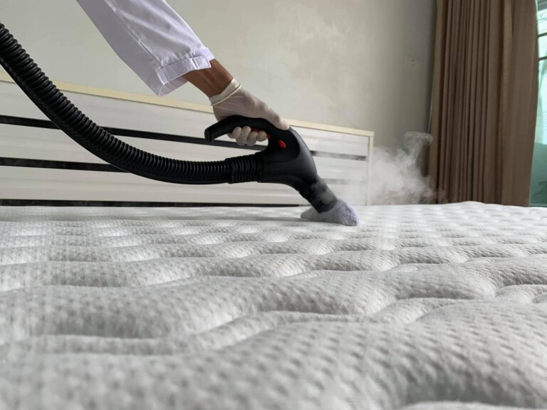 Importance of Mattress Cleaning